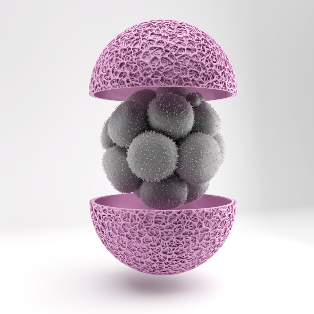3D medical illustration of a cellular structure with a pink outer shell and grey spheres inside, depicting an anatomical model.